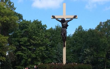 Cross In The Woods Image