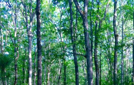 Seven Springs Nature Preserve Image