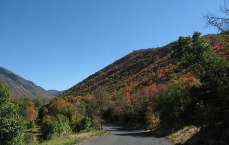 Mt. Nebo Loop Image