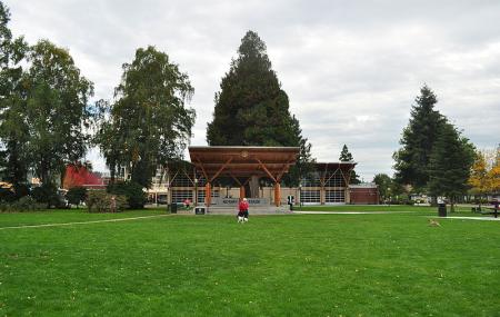 Pioneer Park Image
