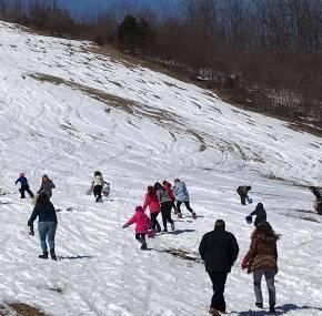 Brantling Ski Slopes Inc Image