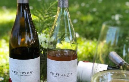 Westwood Estate Wines Image