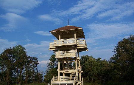 Pipestem State Park Lookout Tower Image
