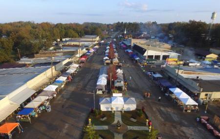 Vardaman Sweet Potato Festival Image