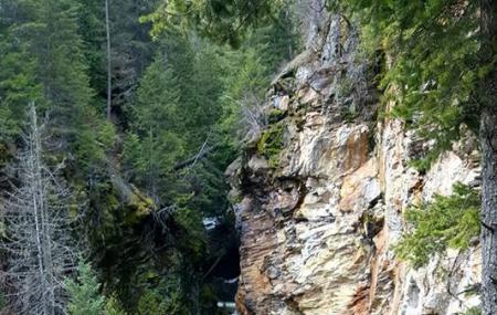 Myrtle Falls Trail Image