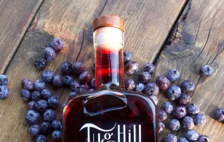 Tug Hill Vineyards Image