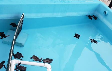 National Marine Life Centre Image