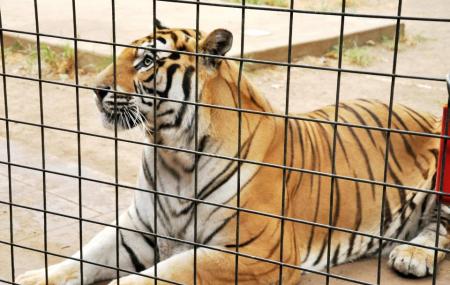 Safari Zoological Park Image