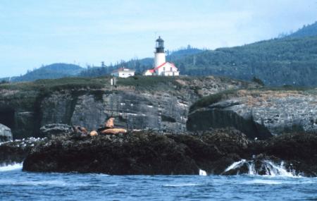Cape Flattery Lighthouse Image