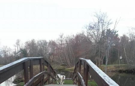 De Hoyos Memorial Park Image