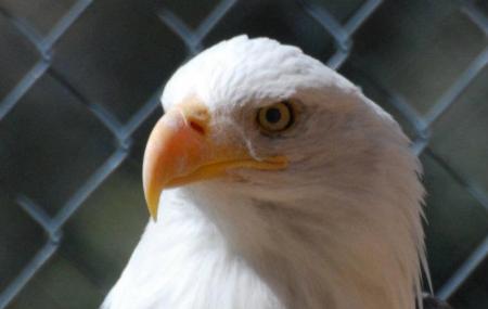 Wildhaven Image