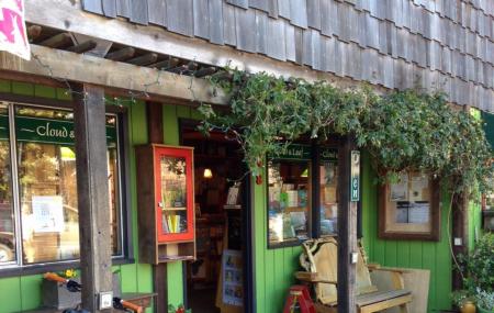 Cloud And Leaf Bookstore Image