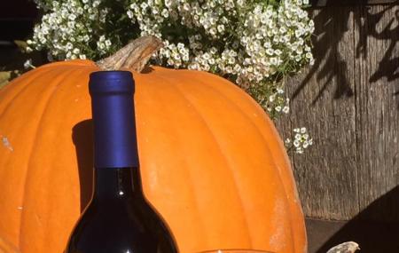 Cameo Vineyards Image