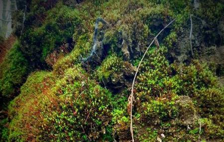 Mount Holly Sanctuary Image