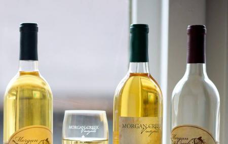 Morgan Creek Vineyards Image