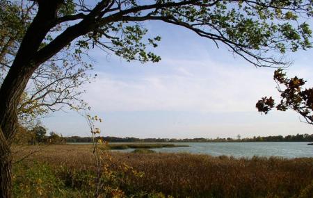 Rice Lake State Natural Area Image