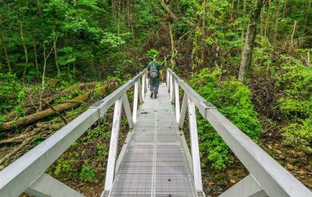 Cumberland Trail Image