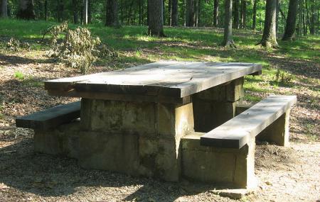 Picnic Area - Jackson State Forest Image