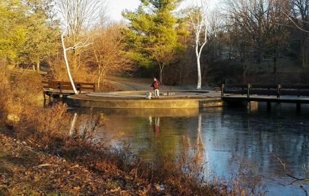 Willow Tree Park Image