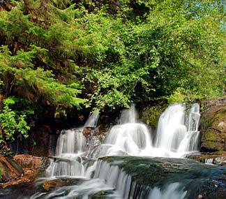 Alsea Falls Image