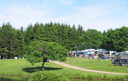 Shamrock Pines Campground Image