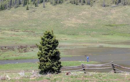 Trujillo Meadows Campground Colorado Image