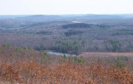 Mohawk State Forest Image