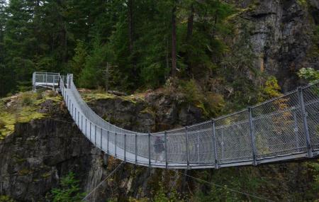 Elk Falls Suspension Bridge Image