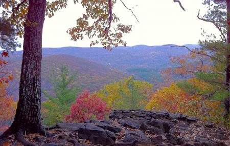Pine Knob Loop Trail Image