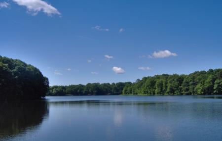 Farrington Lake Image