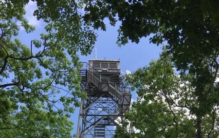 Dorset Lookout Tower Image