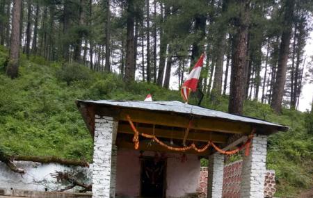 Bhavishya Badri Image