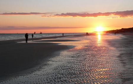 Hilton Head Island Beach Image