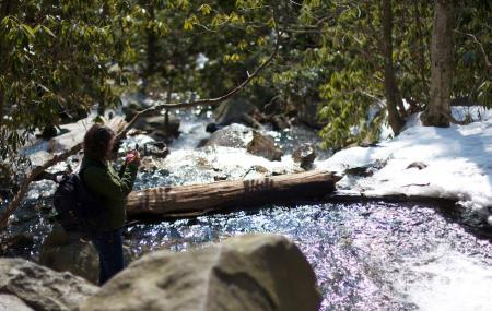 Glen Onoko Falls Trail Image