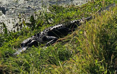 Orlando Wetlands Park Image