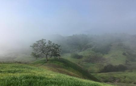 Juan Bautista De Anza Park Image