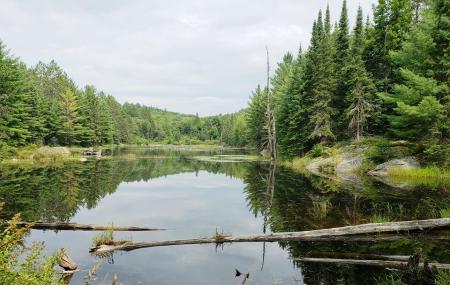 Centennial Ridges Trail Image