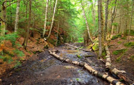 Booth's Rock Trail Image