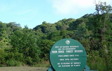 Tobago Main Ridge Forest Reserve Image