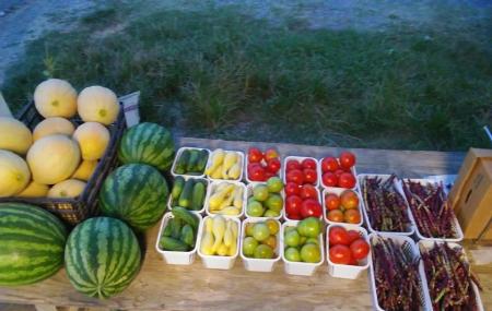 Jerry Marsh Farms Image