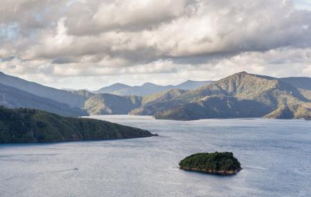 Queen Charlotte Track Picton Image