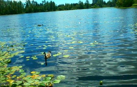 Mill Lake Park Image
