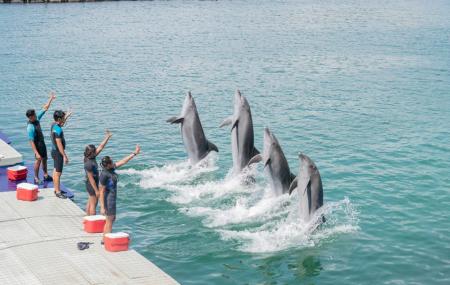 Ocean Adventure Image