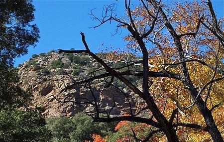 The Nature Conservancy Ramsey Canyon Image