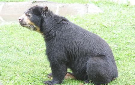 Binghamton Zoo At Ross Park Image
