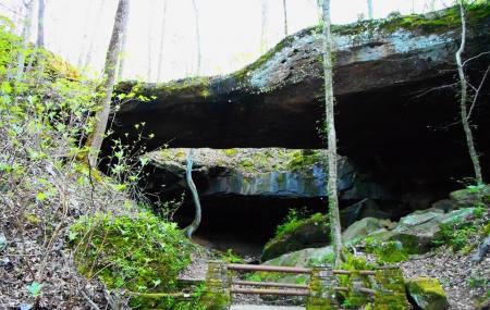 Natural Bridge Picnic Area Image