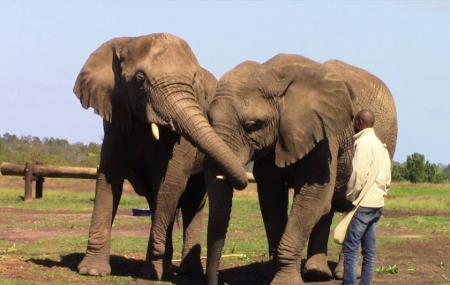 Elephant Sanctuary Image