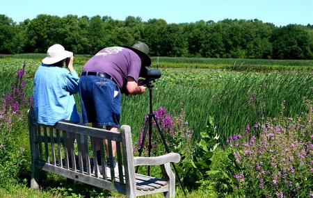 Great Meadows Wildlife Refuge Image