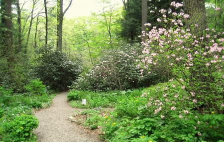 New England Wild Flower Society Garden In The Woods Image
