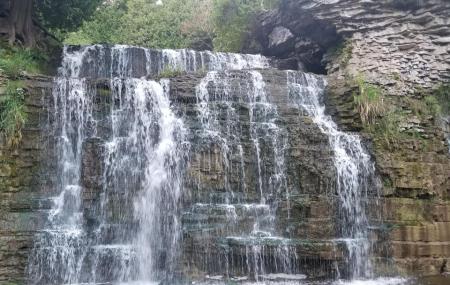 Jones Falls Image